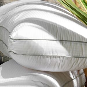 Almohada premium 90x50